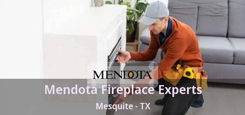 Mendota Fireplace Experts Mesquite - TX