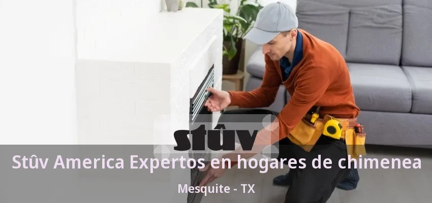 Stûv America Expertos en hogares de chimenea Mesquite - TX