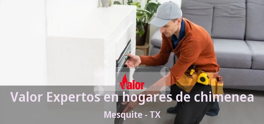 Valor Expertos en hogares de chimenea Mesquite - TX
