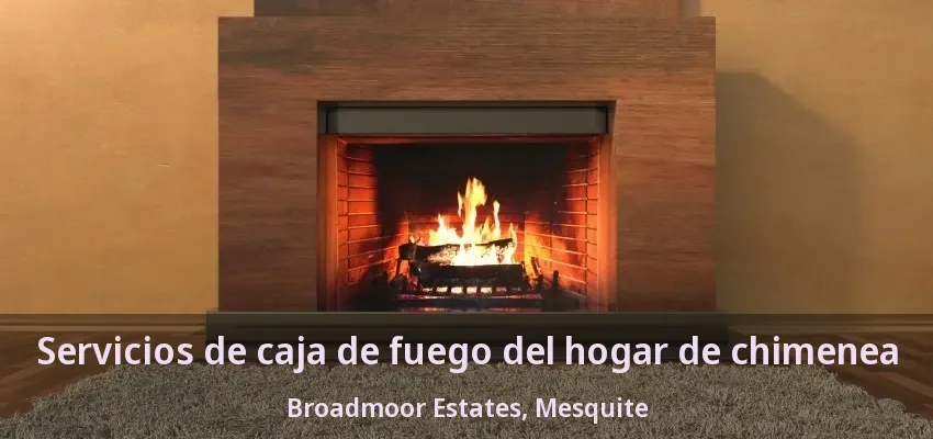 Servicios de caja de fuego del hogar de chimenea Broadmoor Estates, Mesquite - TX Servicios de caja de fuego del hogar de chimenea Broadmoor Estates, Mesquite - TX