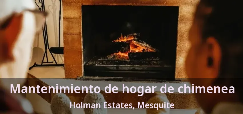 Mantenimiento de hogar de chimenea Holman Estates, Mesquite - TX