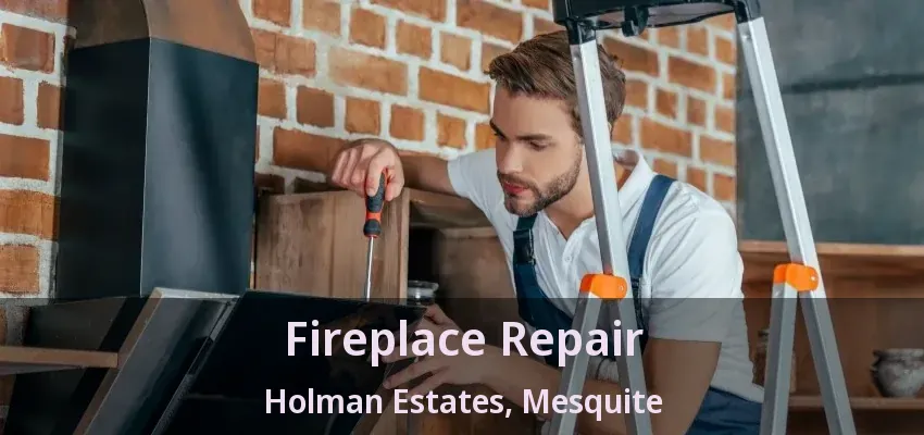 Fireplace Repair Holman Estates, Mesquite - TX