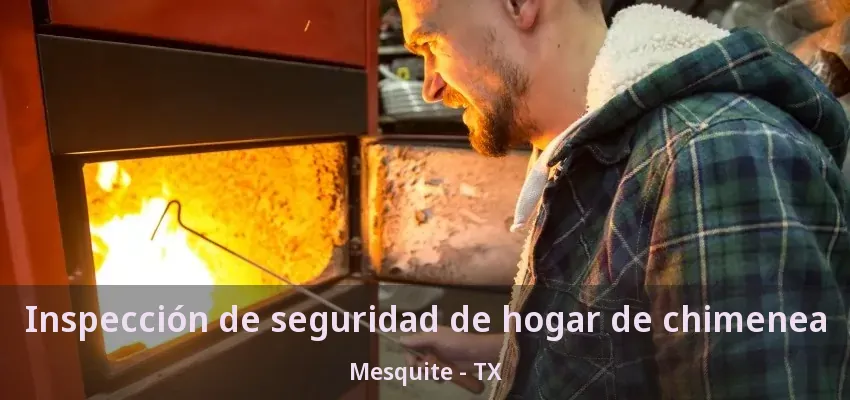 Inspección de seguridad de hogar de chimenea Mesquite - TX
