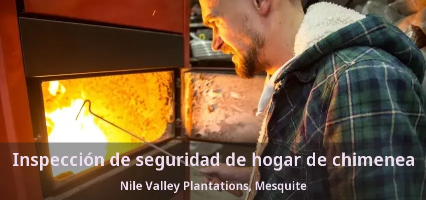 Inspección de seguridad de hogar de chimenea Nile Valley Plantations, Mesquite - TX Inspección de seguridad de hogar de chimenea Nile Valley Plantations, Mesquite - TX