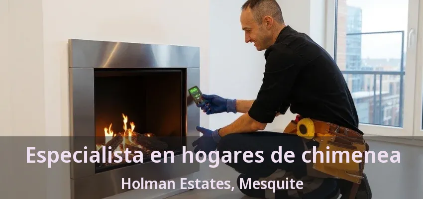 Especialista en hogares de chimenea Holman Estates, Mesquite - TX