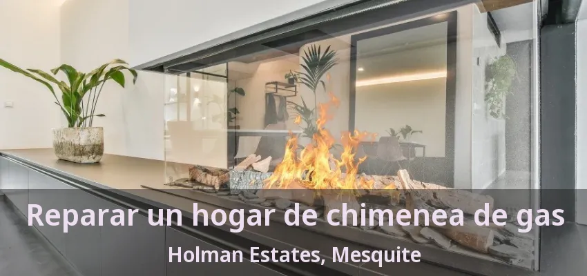 Reparar un hogar de chimenea de gas Holman Estates, Mesquite - TX