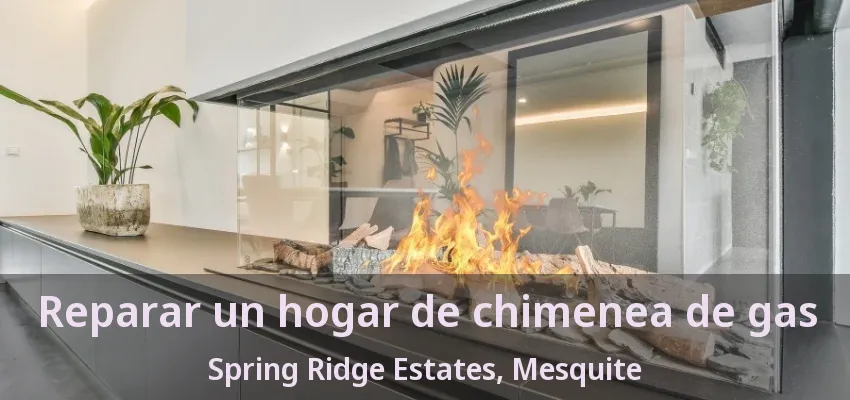 Reparar un hogar de chimenea de gas Spring Ridge Estates, Mesquite - TX Reparar un hogar de chimenea de gas Spring Ridge Estates, Mesquite - TX