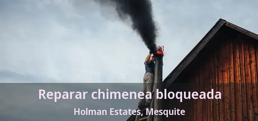 Reparar chimenea bloqueada Holman Estates, Mesquite - TX Reparar chimenea bloqueada Holman Estates, Mesquite - TX
