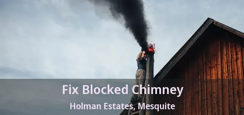 Fix Blocked Chimney Holman Estates, Mesquite - TX