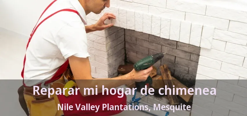 Reparar mi hogar de chimenea Nile Valley Plantations, Mesquite - TX Reparar mi hogar de chimenea Nile Valley Plantations, Mesquite - TX