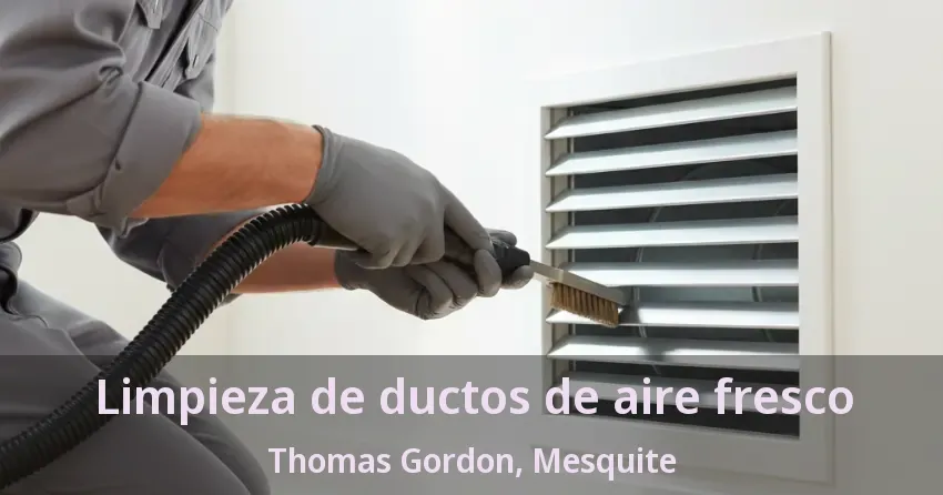 Limpieza de ductos de aire fresco Thomas Gordon, Mesquite - TX