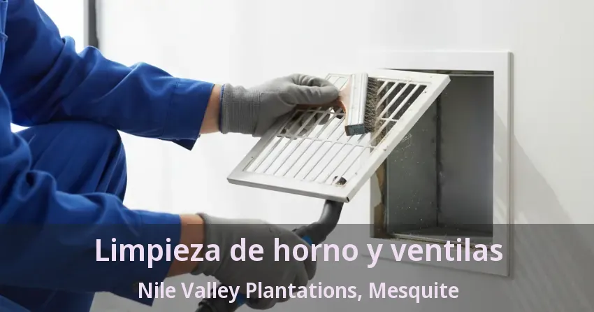 Limpieza de horno y ventilas Nile Valley Plantations, Mesquite - TX