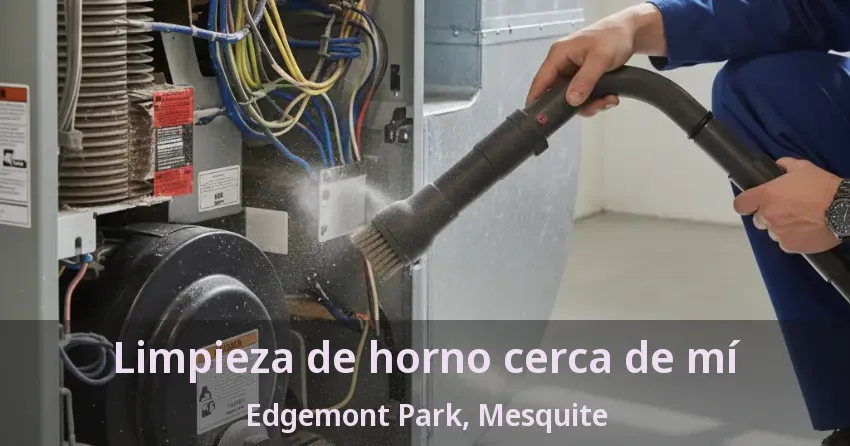 Limpieza de horno cerca de mí Edgemont Park, Mesquite - TX