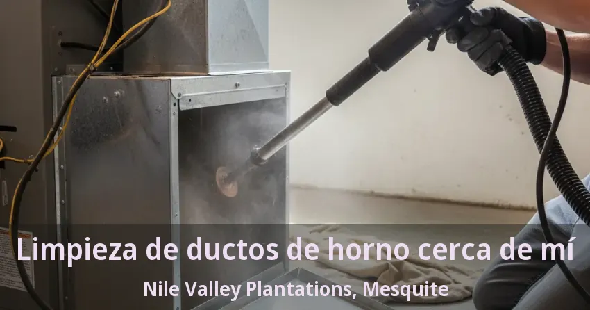 Limpieza de ductos de horno cerca de mí Nile Valley Plantations, Mesquite - TX