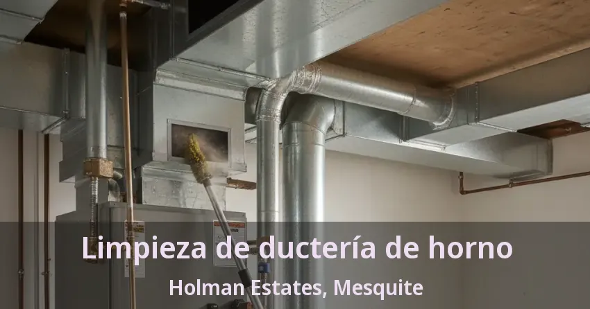 Limpieza de ductería de horno Holman Estates, Mesquite - TX Limpieza de ductería de horno Holman Estates, Mesquite - TX