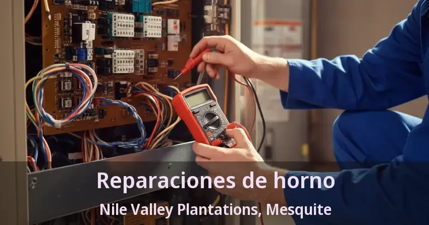 Reparaciones de horno Nile Valley Plantations, Mesquite - TX