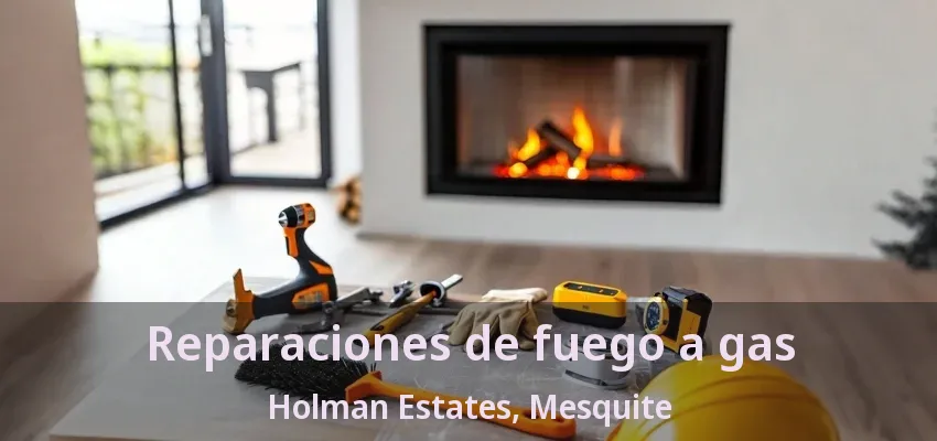 Reparaciones de fuego a gas Holman Estates, Mesquite - TX Reparaciones de fuego a gas Holman Estates, Mesquite - TX