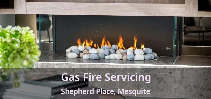 Gas Fire Servicing Shepherd Place, Mesquite - TX