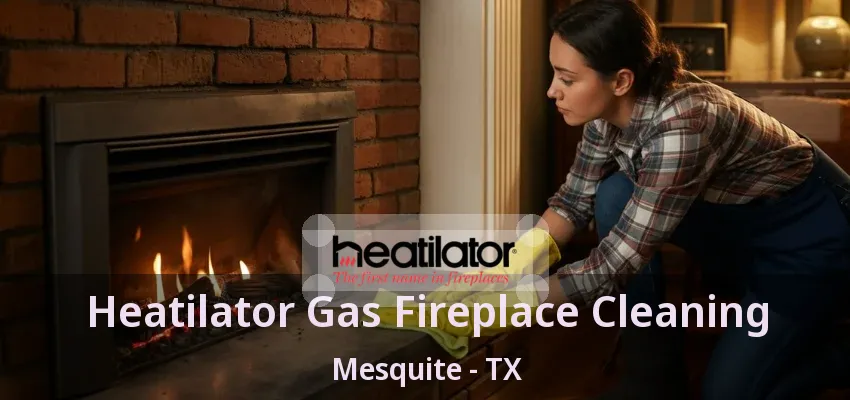 Heatilator Gas Fireplace Cleaning Mesquite - TX