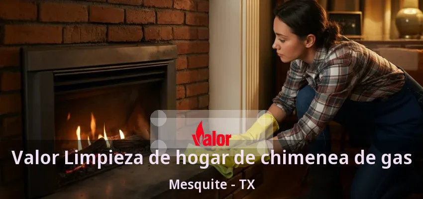 Valor Limpieza de hogar de chimenea de gas Mesquite - TX Valor Limpieza de hogar de chimenea de gas Mesquite - TX