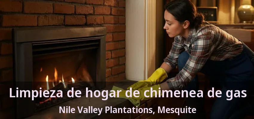 Limpieza de hogar de chimenea de gas Nile Valley Plantations, Mesquite - TX Limpieza de hogar de chimenea de gas Nile Valley Plantations, Mesquite - TX