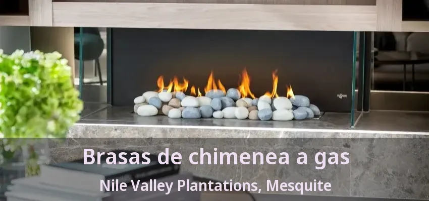 Brasas de chimenea a gas Nile Valley Plantations, Mesquite - TX Brasas de chimenea a gas Nile Valley Plantations, Mesquite - TX