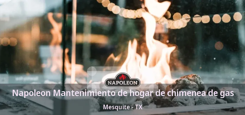 Napoleon Mantenimiento de hogar de chimenea de gas Mesquite - TX Napoleon Mantenimiento de hogar de chimenea de gas Mesquite - TX