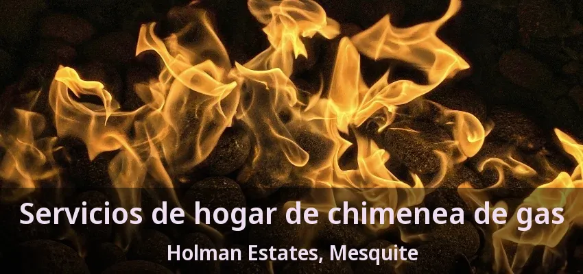 Servicios de hogar de chimenea de gas Holman Estates, Mesquite - TX Servicios de hogar de chimenea de gas Holman Estates, Mesquite - TX