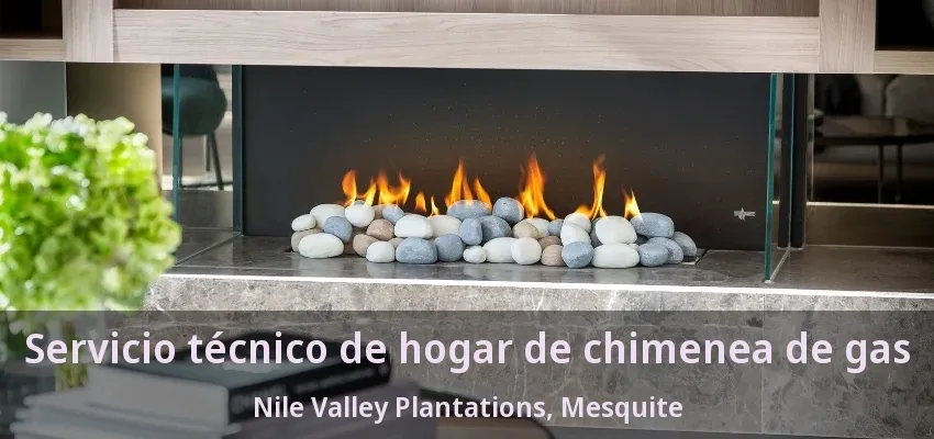 Servicio técnico de hogar de chimenea de gas Nile Valley Plantations, Mesquite - TX Servicio técnico de hogar de chimenea de gas Nile Valley Plantations, Mesquite - TX