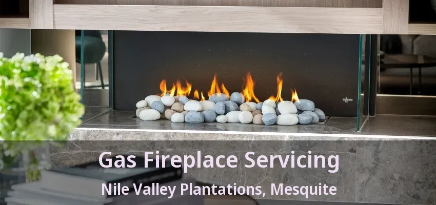 Gas Fireplace Servicing Nile Valley Plantations, Mesquite - TX Gas Fireplace Servicing Nile Valley Plantations, Mesquite - TX