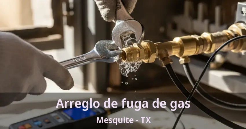Arreglo de fuga de gas Mesquite - TX