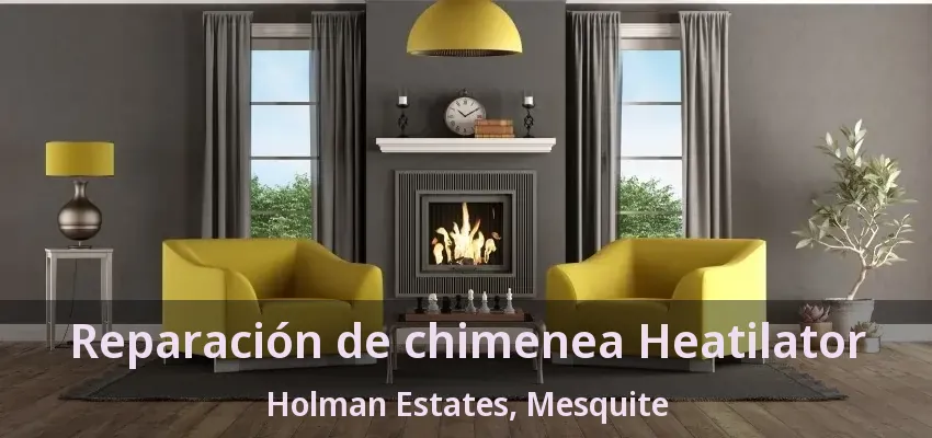 Reparación de chimenea Heatilator Holman Estates, Mesquite - TX