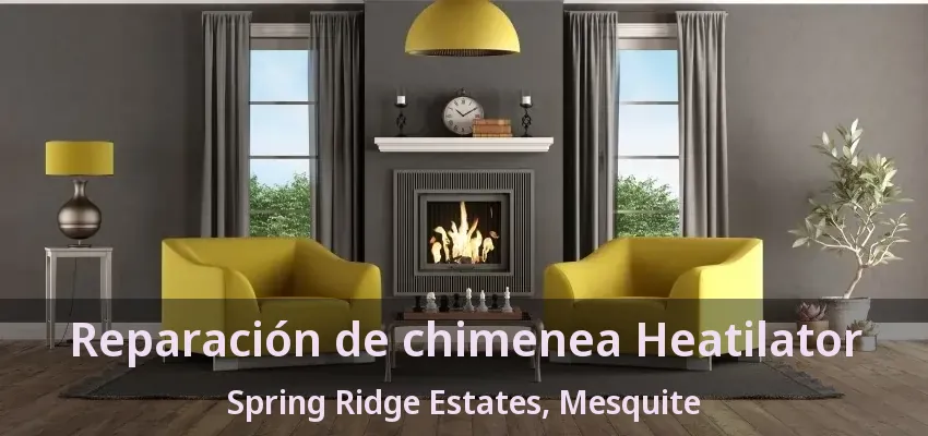 Reparación de chimenea Heatilator Spring Ridge Estates, Mesquite - TX