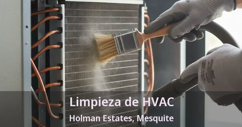 Limpieza de HVAC Holman Estates, Mesquite - TX