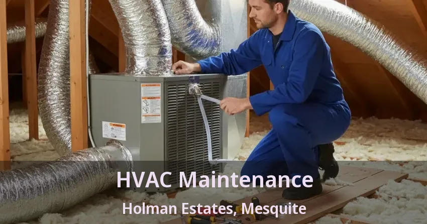 HVAC Maintenance Holman Estates, Mesquite - TX HVAC Maintenance Holman Estates, Mesquite - TX