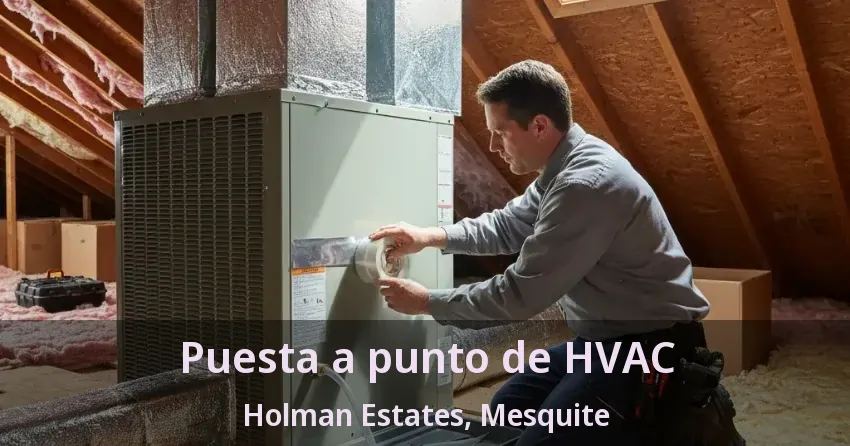 Puesta a punto de HVAC Holman Estates, Mesquite - TX