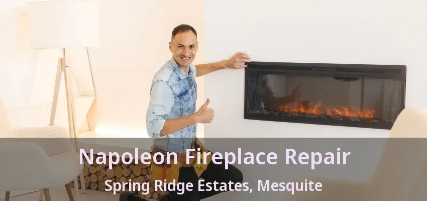 Napoleon Fireplace Repair Spring Ridge Estates, Mesquite - TX