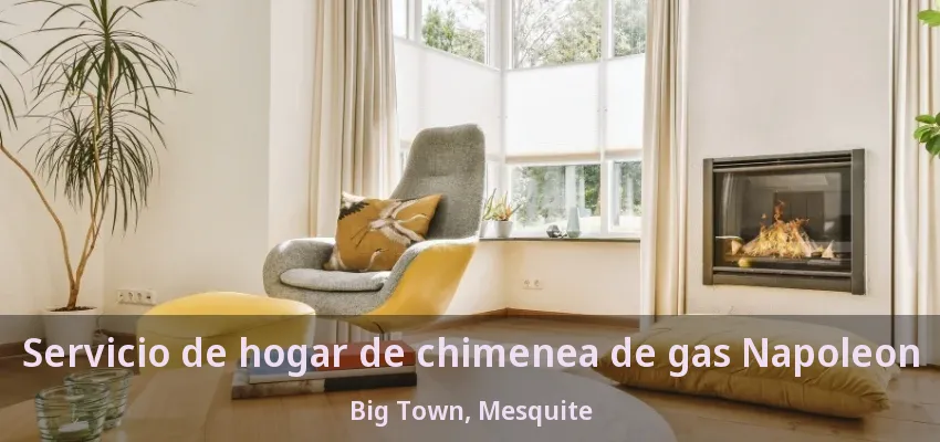 Servicio de hogar de chimenea de gas Napoleon Big Town, Mesquite - TX
