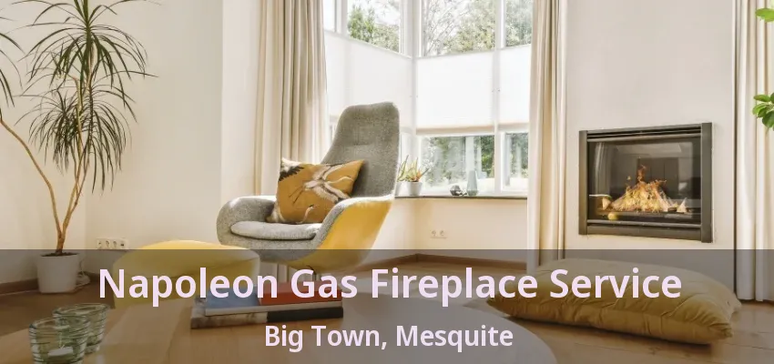 Napoleon Gas Fireplace Service Big Town, Mesquite - TX