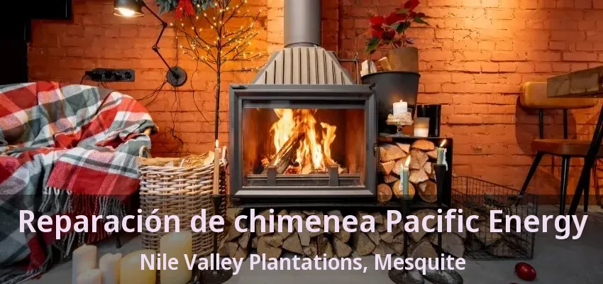 Reparación de chimenea Pacific Energy Nile Valley Plantations, Mesquite - TX Reparación de chimenea Pacific Energy Nile Valley Plantations, Mesquite - TX