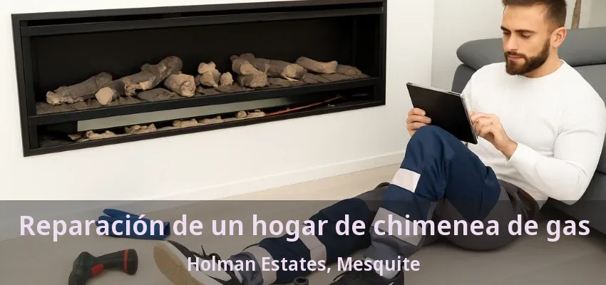 Reparación de un hogar de chimenea de gas Holman Estates, Mesquite - TX Reparación de un hogar de chimenea de gas Holman Estates, Mesquite - TX
