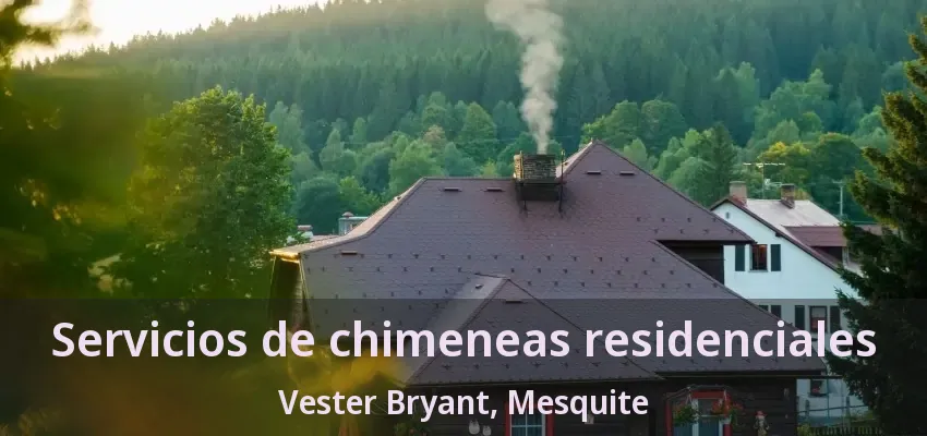 Servicios de chimeneas residenciales Vester Bryant, Mesquite - TX