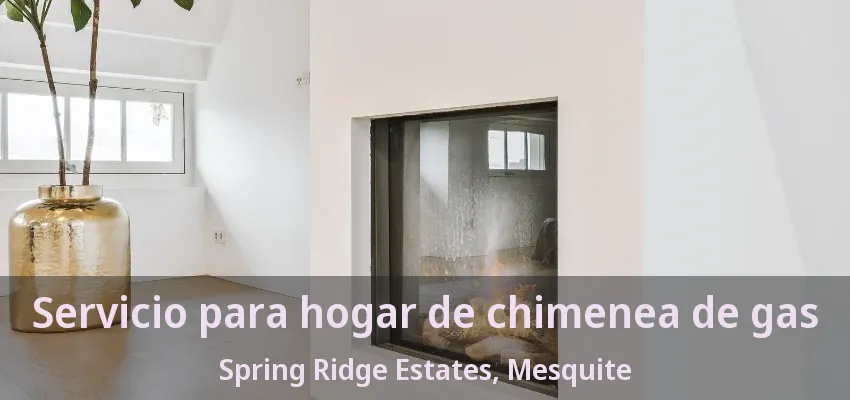 Servicio para hogar de chimenea de gas Spring Ridge Estates, Mesquite - TX Servicio para hogar de chimenea de gas Spring Ridge Estates, Mesquite - TX