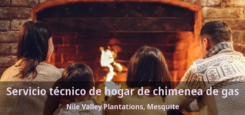 Servicio técnico de hogar de chimenea de gas Nile Valley Plantations, Mesquite - TX Servicio técnico de hogar de chimenea de gas Nile Valley Plantations, Mesquite - TX