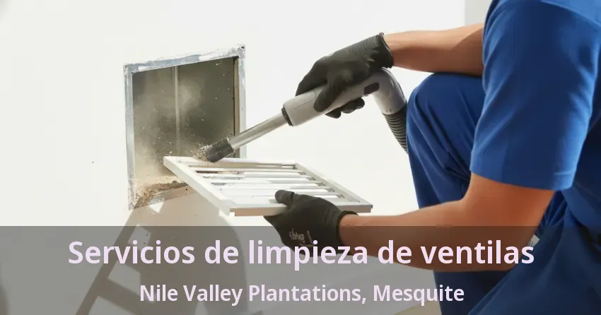 Servicios de limpieza de ventilas Nile Valley Plantations, Mesquite - TX